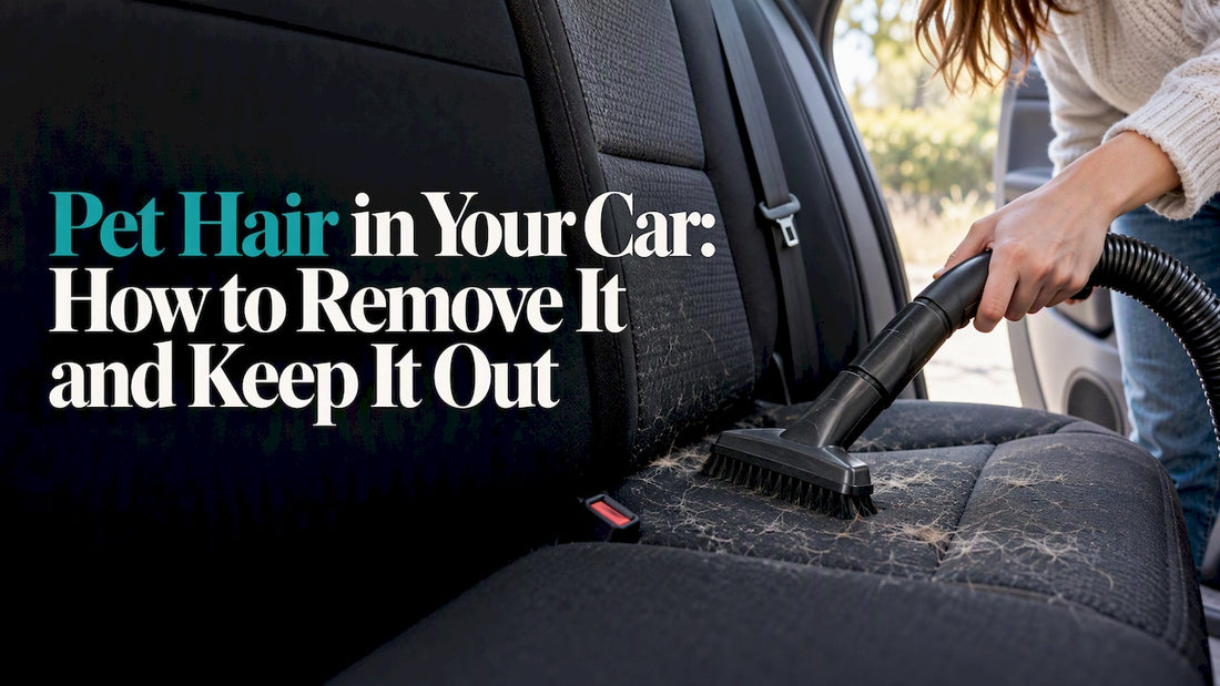 Vacuuming dog hair from a car seat