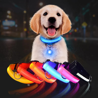 LED Dog Safety Collar – Night Glow